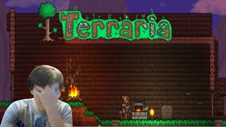 I got shiny armorTerraria Pt3 [upl. by Letti]