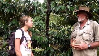 Growing Durian on the Tatura Trellis [upl. by Heinrike]