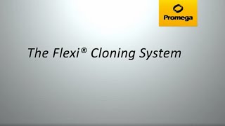 Flexi® Cloning System [upl. by Diandre]