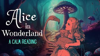 Reading of Alice in Wonderland  full audiobook  Story Reading for Sleep  Relaxing Reading [upl. by Royden861]