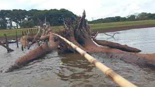 Tremedeira total fora o Pirarucu que escapou olha os monstros que veio hoje inacreditável Pescaria [upl. by Quenby]