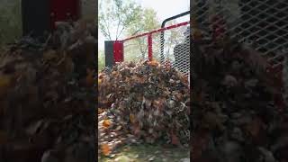 How To Move Giant Leaf Piles [upl. by Mita]