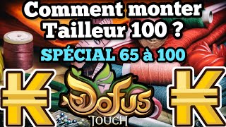 DOFUS TOUCH Comment UP TAILLEUR 65 à 100 [upl. by Neeloc]