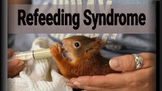 Refeeding Syndrome by Dr Gireesh Kumar KP [upl. by Edea743]