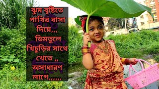 রূপকথার বৃষ্টি বিলাস। ডিম কুড়িয়ে ডিম খিচুড়ি রান্নাnature villfoodkitchen minivlog dailyvlog [upl. by Farant]