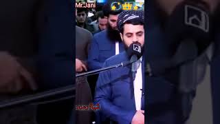 Shaikh Raad Muhammad al kurdi  Raad al kurdi new tilawat  MrJani qariraadalkurdi raadalkurdi [upl. by Betteann]