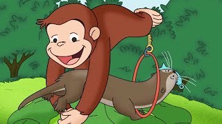 Curious George 🐵 We Otter Be Friends 🐵Compilation🐵 HD 🐵 Cartoons For Children [upl. by Akeemat]