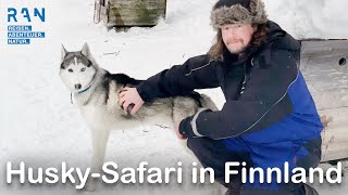 HundeschlittenTouren im Süden Lapplands  HuskyAbenteuer auf der Saija Lodge Finnland 2022 [upl. by Alf]