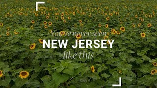 Sunflower Maze Youve Never Seen New Jersey Like This [upl. by Odarbil]