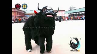 Yak Dance  Seven majestic yaks in perfect harmony showcasing the rich cultural heritage of Tawang [upl. by Judas]