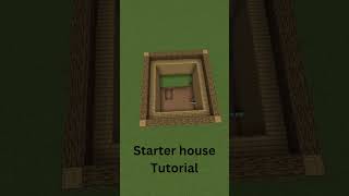 Minecraft easy Starter house Tutorial shorts [upl. by Romulus]