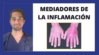 MEDIADORES DE LA INFLAMACIÓN  INMUNOLOGÍA [upl. by Ahtamas]