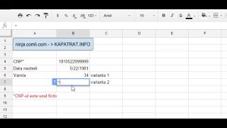 Afla data nasteriivarsta in EXCELGoogle Sheets pe baza CNPului [upl. by Leynwad42]