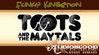 Toots amp The Maytals  Funky Kingston Oaken House Remake [upl. by Shelton519]