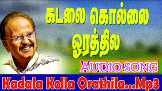 கடலக்கொல்லை ஓரத்திலே Kadala Kolla Orathilea songTamil Kuthu Song [upl. by Brooking271]