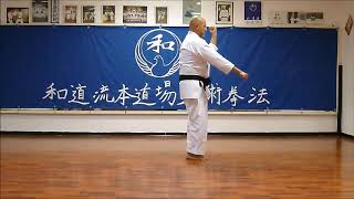 Pinan Sandan  Wado Ryu 3rd Pinan Kata  Wado Ryu Hon Dojo  Karate video [upl. by Bud]