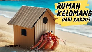 Apa bisa membuat Rumah Kelomang Dari kardus [upl. by Annyrb]