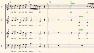 Mozart K 220 Sparrow Mass TENOR part 2 [upl. by Pinchas]