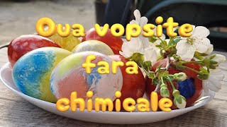 Oua vopsite fara chimicale  Healthy dyed eggs no chemicals [upl. by Kern906]