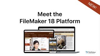 Meet the FileMaker 18 Platform [upl. by Nacnud]