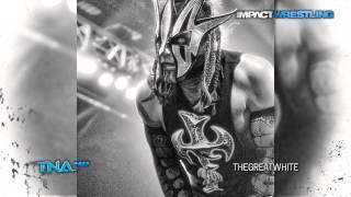 2014 Willow Jeff Hardy 14th amp New TNA Theme Song  quotWillows Wayquot  DL wLyrics [upl. by Yenettirb913]