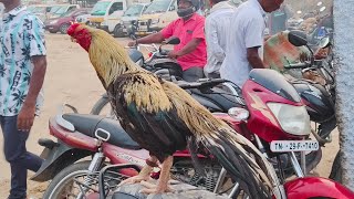 kundarapalli Friday market Krishnagiri district 🥰🥰 Biggest Friday market [upl. by Oag832]