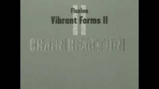 Fluxion  Vibrant Forms 2 Chain Reaction  03 Oblique CD1 [upl. by Divadleahcim713]