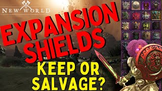 DONT SALVAGE YOUR CURRENT SHIELDS IN NEW WORLD [upl. by Eirrot]