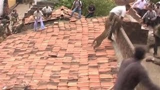 Leopard Charges at Rescue Workers in Central India [upl. by Kemble220]