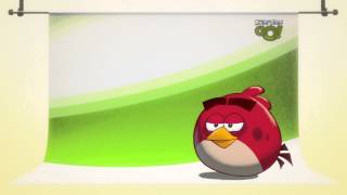 The next epic Angry Birds game [upl. by Holofernes159]