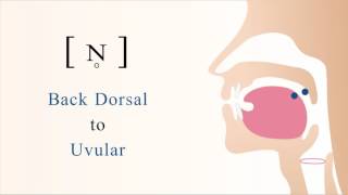 ɴ̥  unvoiced back dorsal uvular nasal stop [upl. by Bilow]