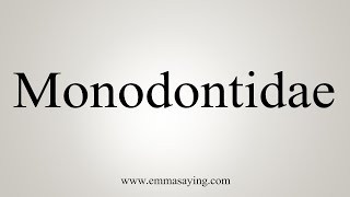 How To Say Monodontidae [upl. by Ahsimet]