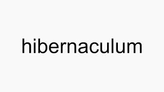 How to pronounce hibernaculum [upl. by Ronald66]