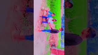 Phalodi wala video 😄😄😄😄😄 [upl. by Nauqel]