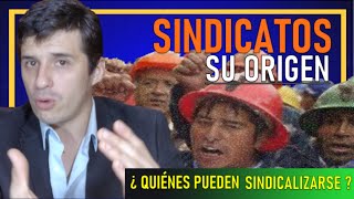 ¿Qué es un Sindicato [upl. by Aig]