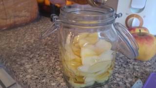 Appel met honing fermenteren [upl. by Waers]