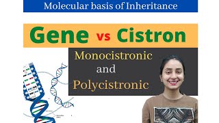 Gene vs Cistron  Molecular Basis of Inheritance  Class 12  NEET [upl. by Mccreery]