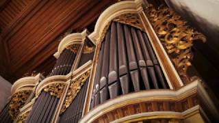 THE PASSACAGLIA OF BACH ON THE SILBERMANN ORGAN IN RÖTHA  XAVER VARNUS [upl. by Kjersti489]