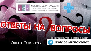 Ответы на вопросы Выпуск от 17092024 [upl. by Novled441]