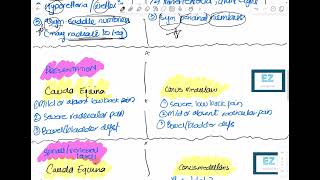 Cauda Equina Syndrome Vs Conus Medullaris [upl. by Solly]