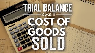 Trial Balance l Class 11 l Accounts l Part 4 l Cost Of Goods Sold in Trial Balance l [upl. by Sykes937]