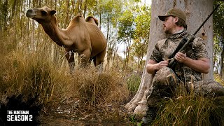 Camel hunt amp meat harvest  Outback bush adventure [upl. by Amoakuh]