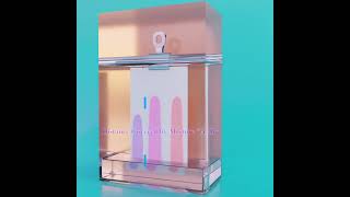 Chromatography 3d animation  paper chromatography  chromatography experiment [upl. by Oigimer]