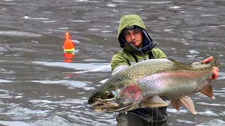 WINTER Steelhead Fishing  UNREAL BOBBER DOWNS [upl. by Navi]