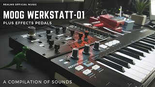 Moog Werkstatt01  A Compilation Of Sounds [upl. by Mariko]