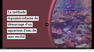 La méthode Aquamicrofaune de démarrage dun aquarium deau de Mer récifal [upl. by Ludmilla]