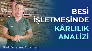 Besi İşletmelerinde Kârlılık Analizi [upl. by Nolrak]