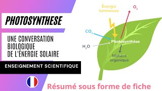 Résumé du chapitre 6  la Photosynthese une conversion biologique de lénergie solaire [upl. by Thagard]