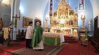 Our Lady of Czestochowa Sunday Mass  July 21 2024 [upl. by Nylrebma698]