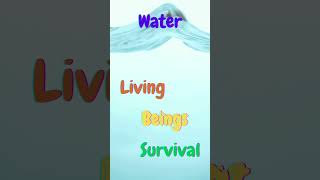 Basic Needs of All Living Things 🌱  Essential Life Lessons for Kids [upl. by Arlynne]